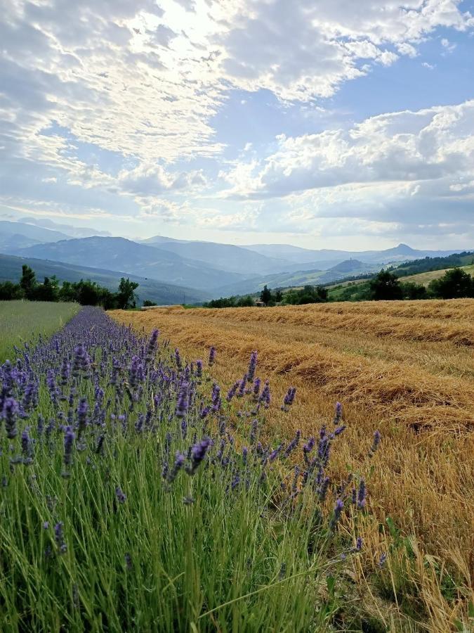 Agriturismo La Casetta - Ospitalita Rurale Familiare Montese Buitenkant foto