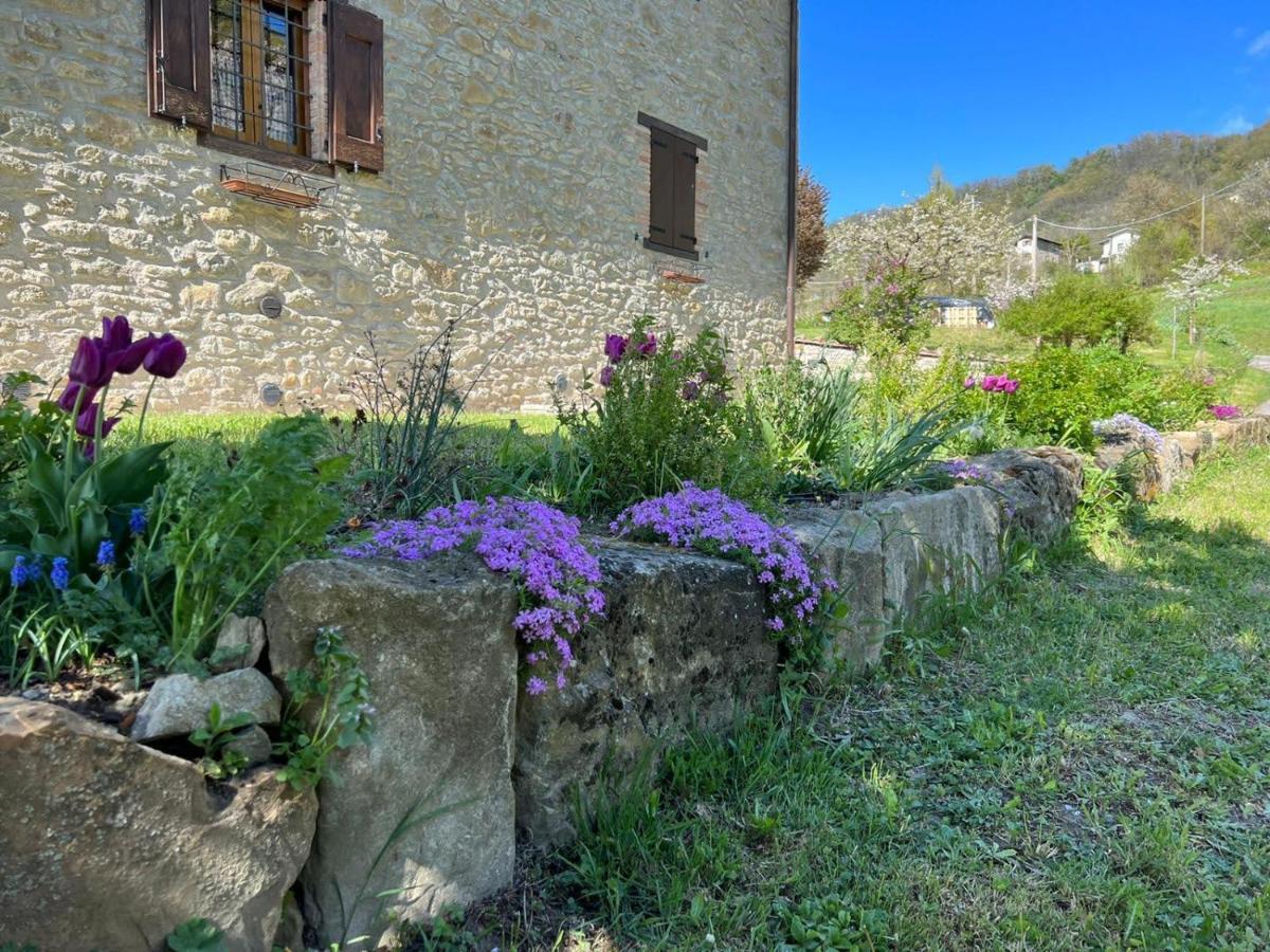 Agriturismo La Casetta - Ospitalita Rurale Familiare Montese Buitenkant foto
